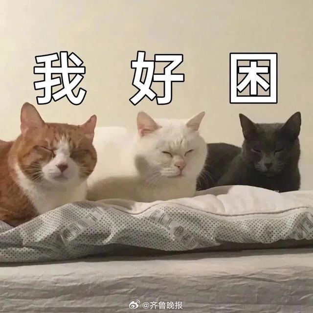 睡个好觉，为明天积蓄更多力量。#晚安#