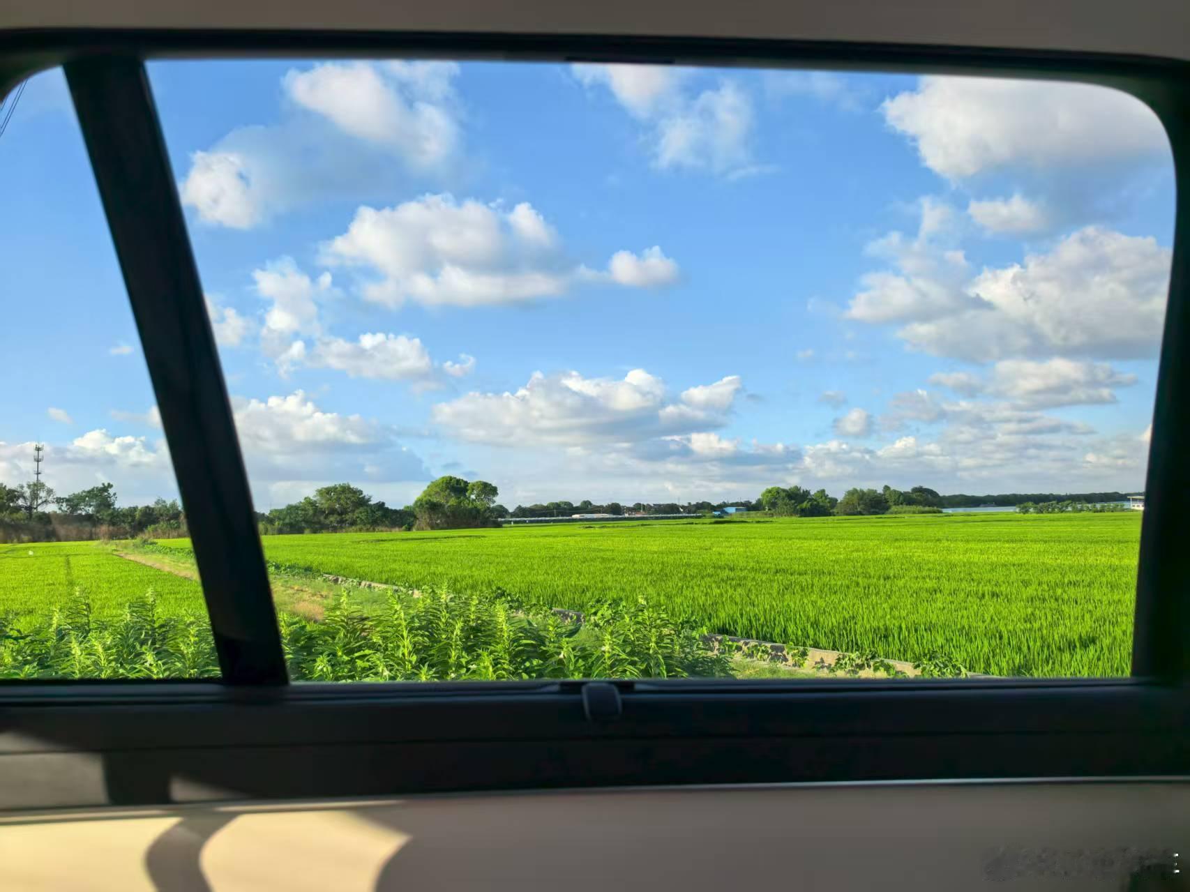 车窗外面这画面，绿油油的田野配上蓝天白云，跟动画片里的背景板似的，感觉随时能蹦出