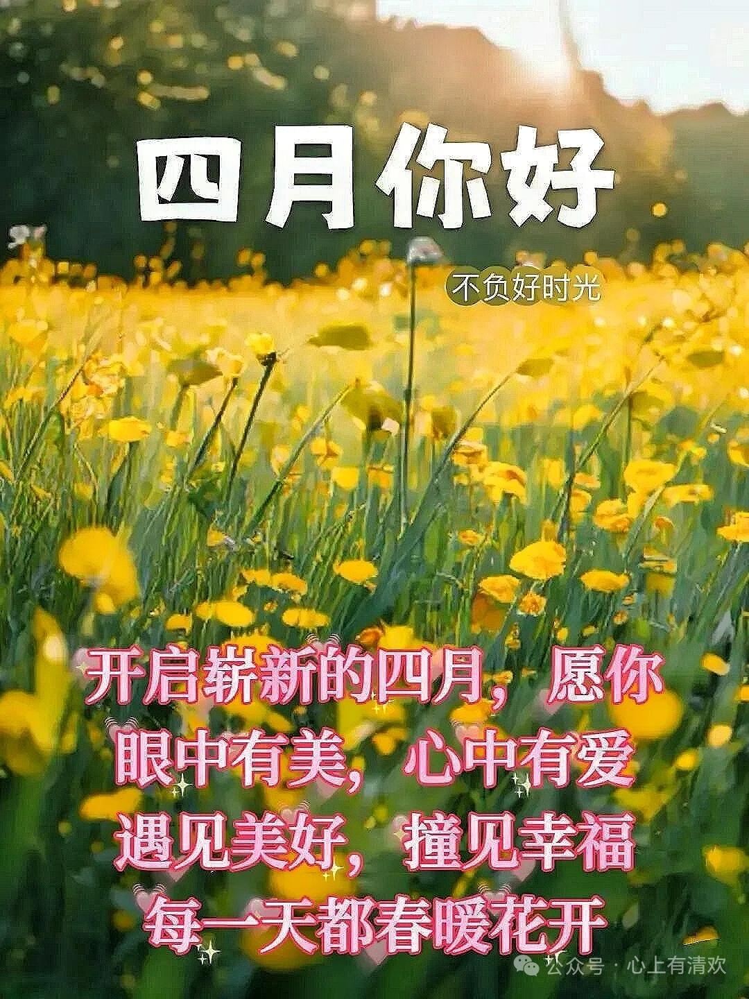 新的四月你好！

一夜春风吹，新花一万枝。四月在和煦的春风中，迫不及待的带着你，