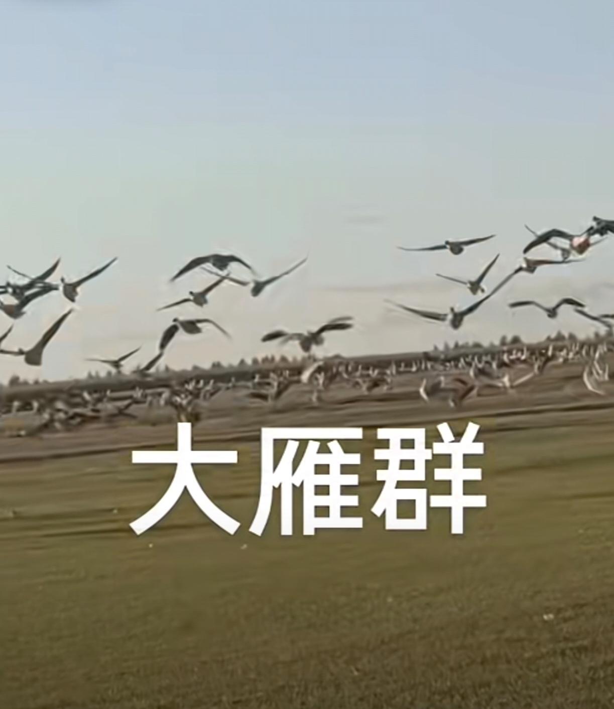 一个朋友孩子，决定要考公了～

大厂工作了了五年，还清了差不多200W购房贷款，