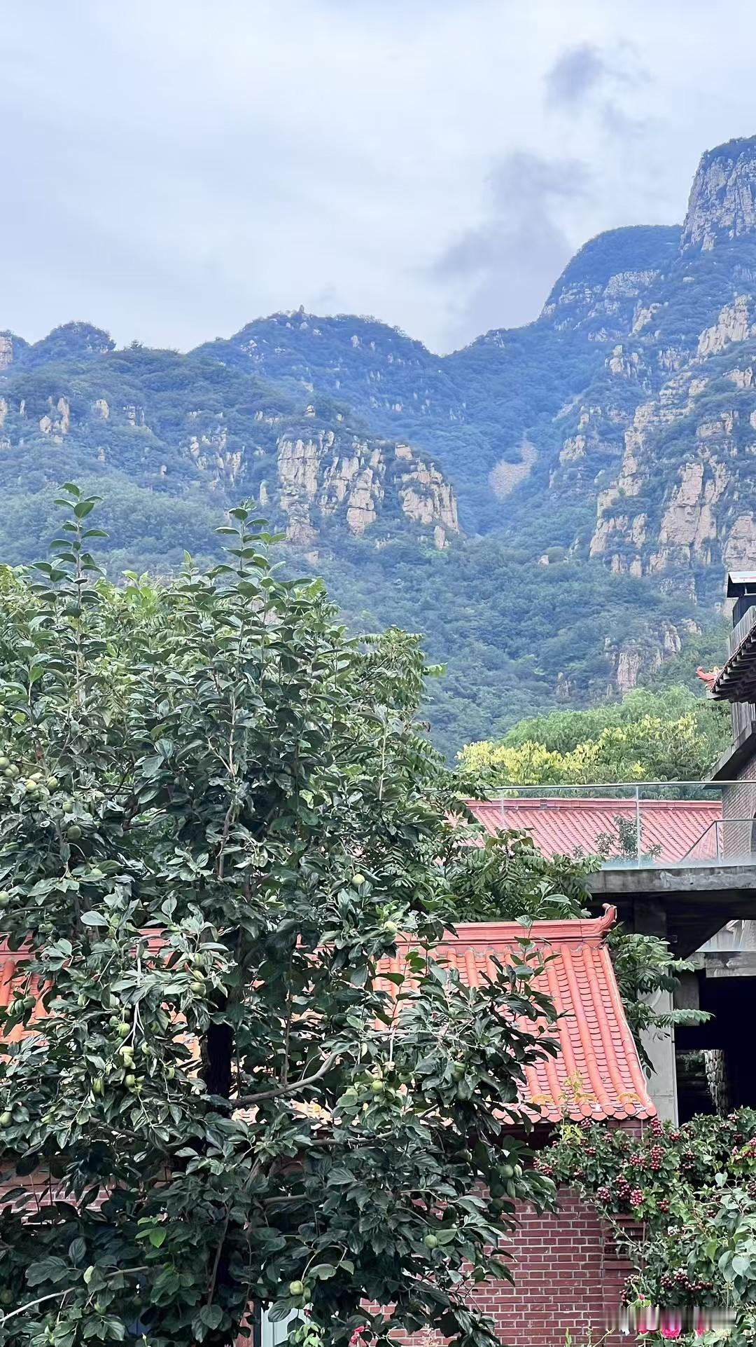 《菜根谭》有言：“天地有万古，此身不再得；人生只百年，此日最易过。”人生在世，不