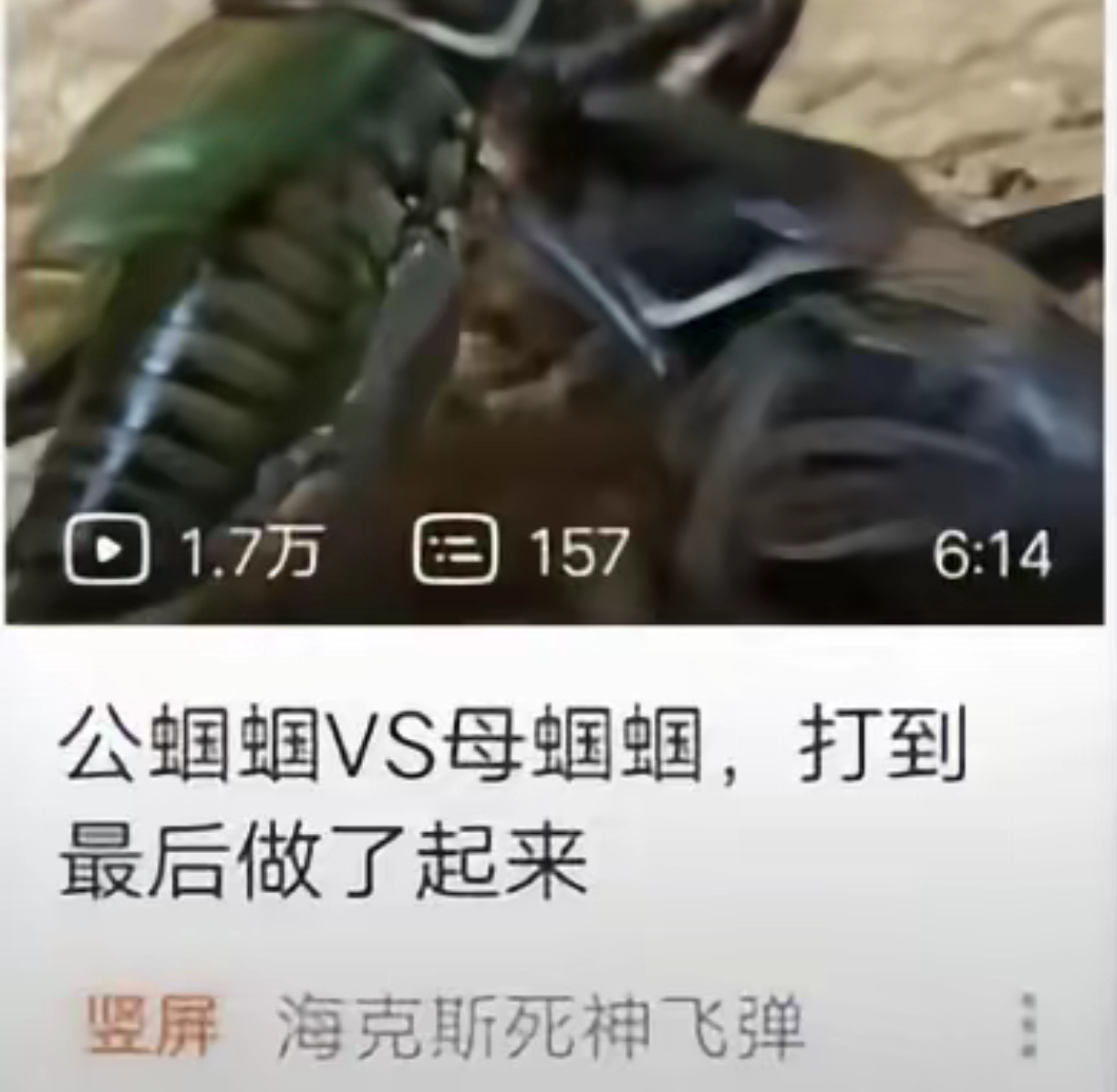 蝈蝈也压抑