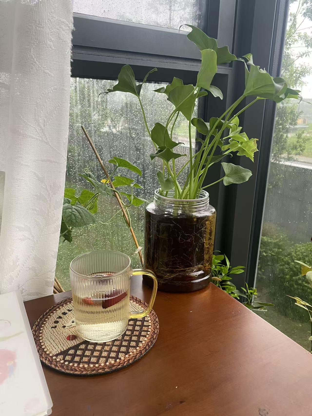 没钱没本事，还能做到这种心态，真的让我很佩服。

最近， 认识一个上海女人，45