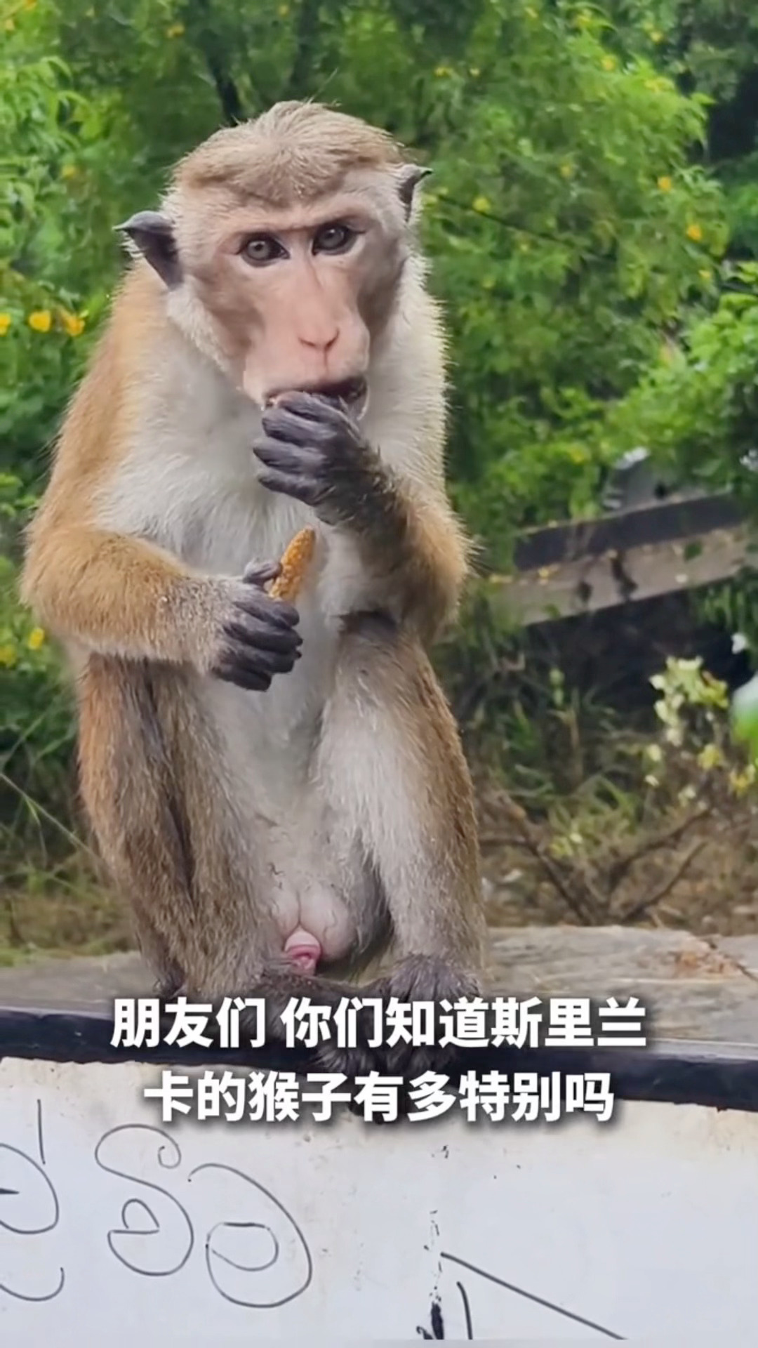 分享图片 ​  ​​​