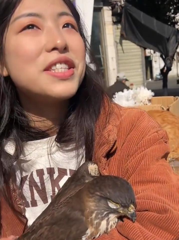 女子正在外边晒太阳，一只大鸟突然飞进了她的怀里，本来以为受伤了，可全身检查了一下