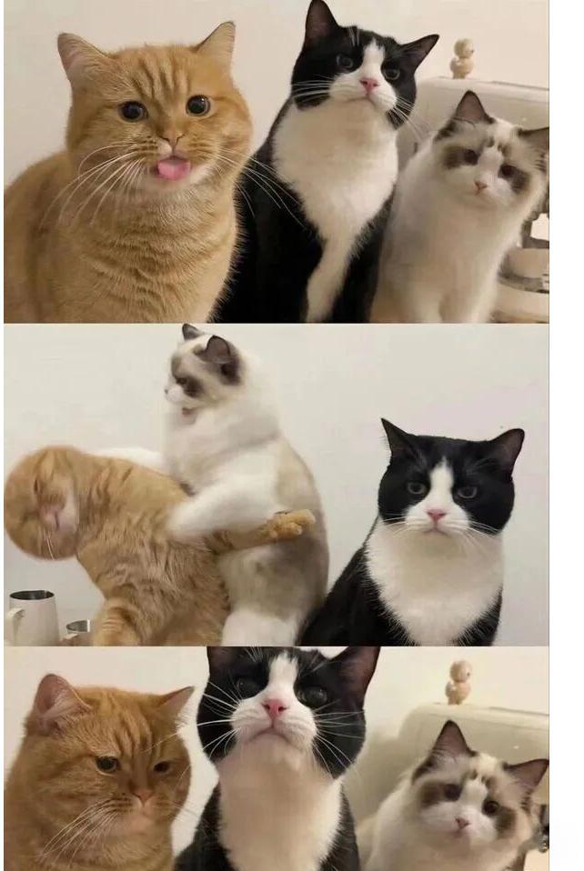 严肃点儿！ 