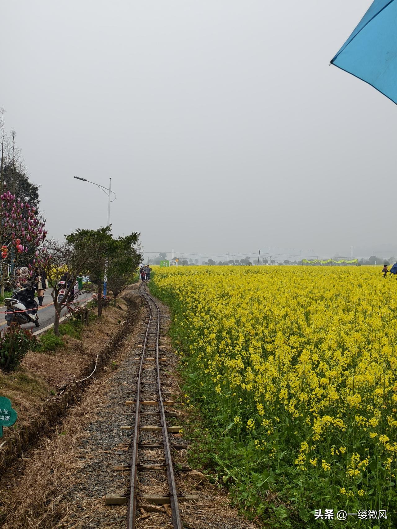 今天又听到一个认识的朋友，得癌症去世了，年龄也不大，就这样被癌症带走了。
不知道