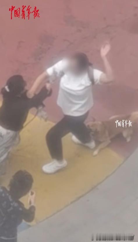 辽宁沈阳，一女子小区遛狗不牵绳，狗把路人吓到后不但不道歉，还动手打人，结果狗“护
