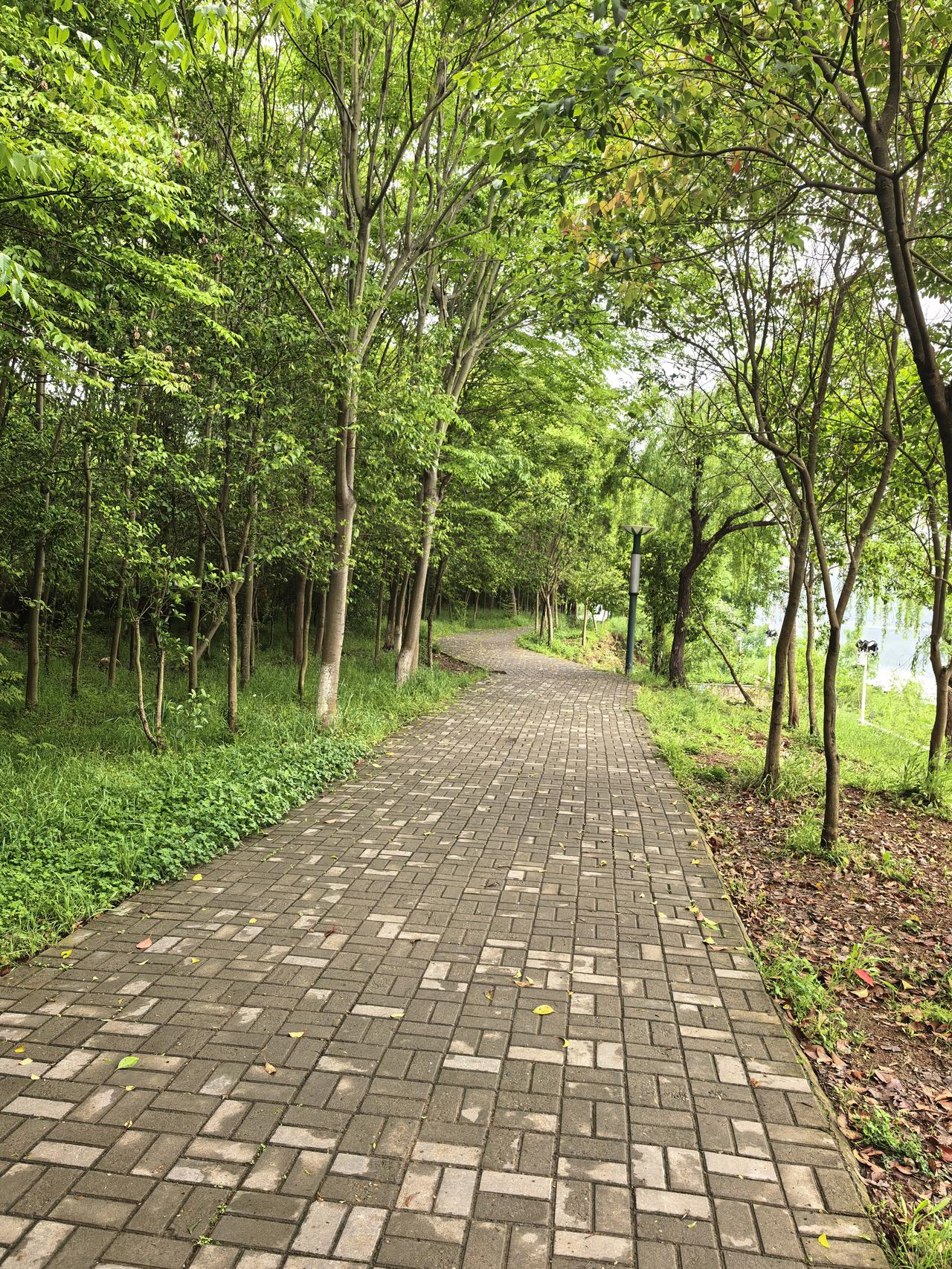 有不少人对自媒体上出现的全民带货现象感到忧心忡忡。他们说，全民带货抹平了人与人之