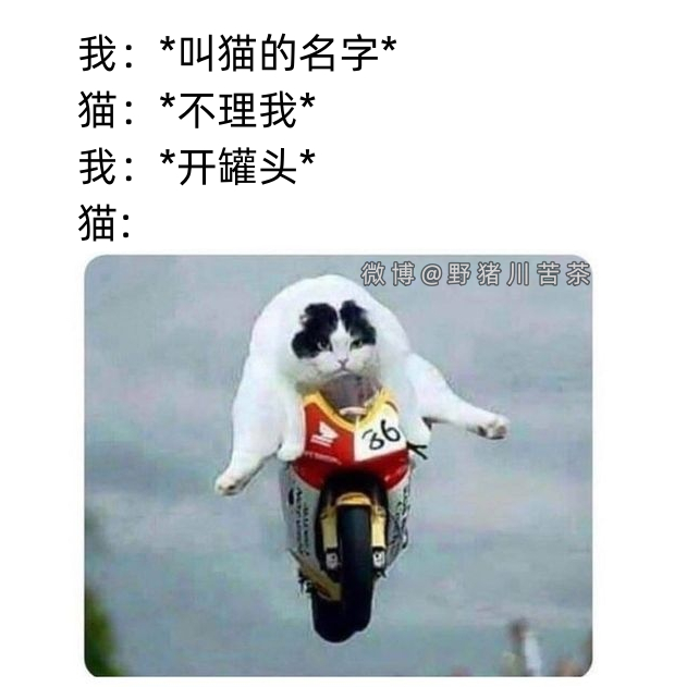 大小姐驾到通通闪开！ 