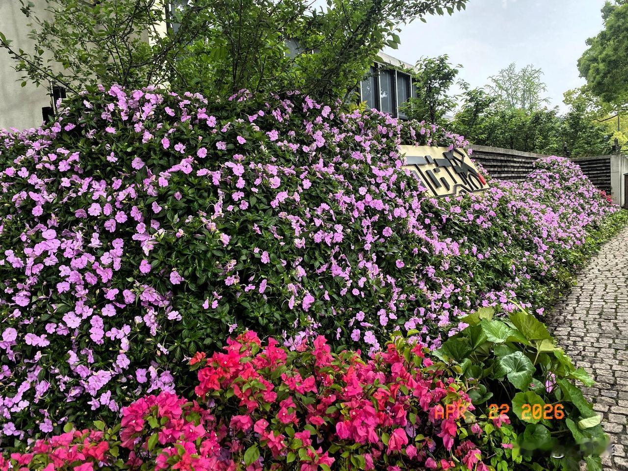 平江路上最不缺的就是人气，即使在小雨淅淅答答的天气里。苏州平江路古城