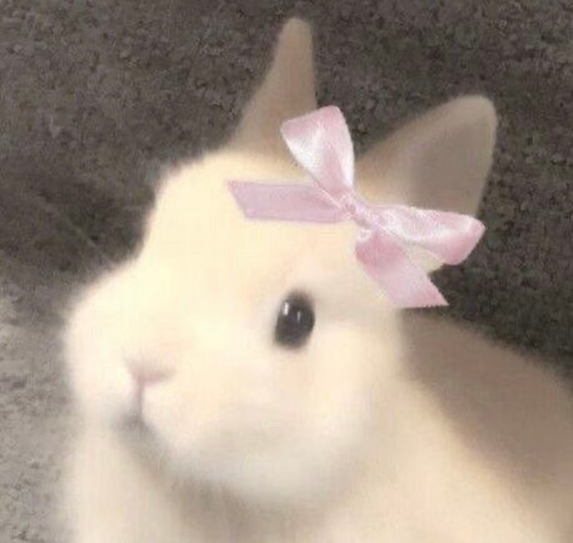 虞书欣和小兔叽0个区别呢 