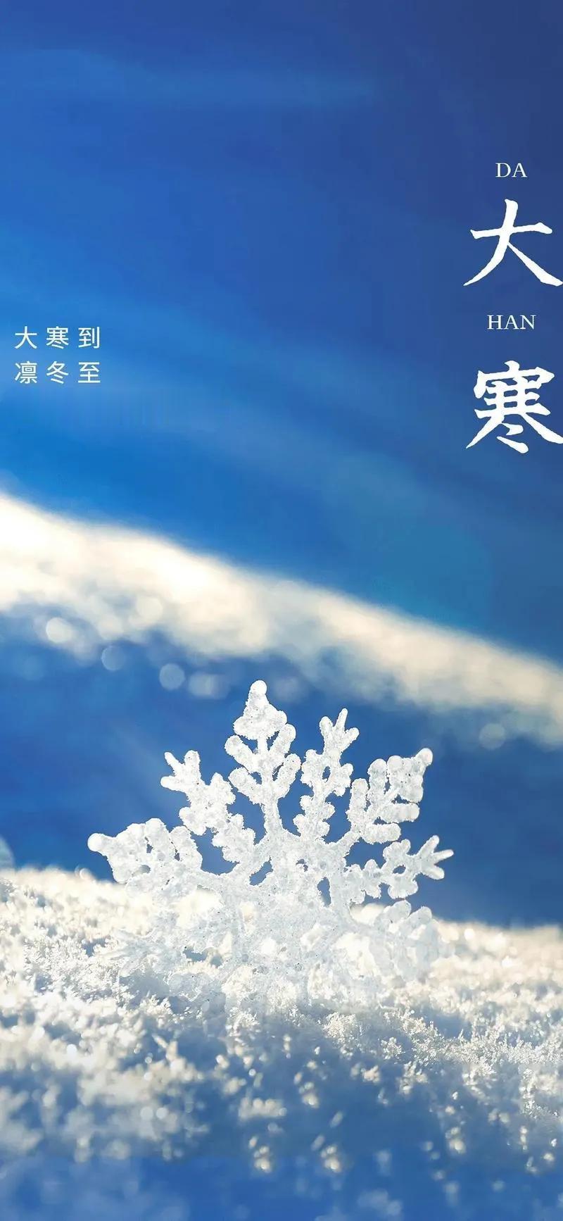 大寒时节，冰封万里，
寒风中，我听见岁月的低语。
雪花轻盈，如羽毛般飘落，
覆盖