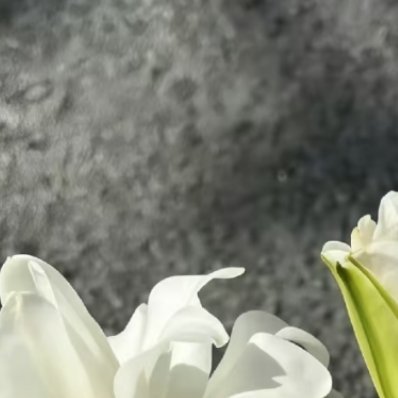 生活处处藏温情，举手之劳皆是善意。保持热忱与善良，善待旁人也善待自己，让美好始终