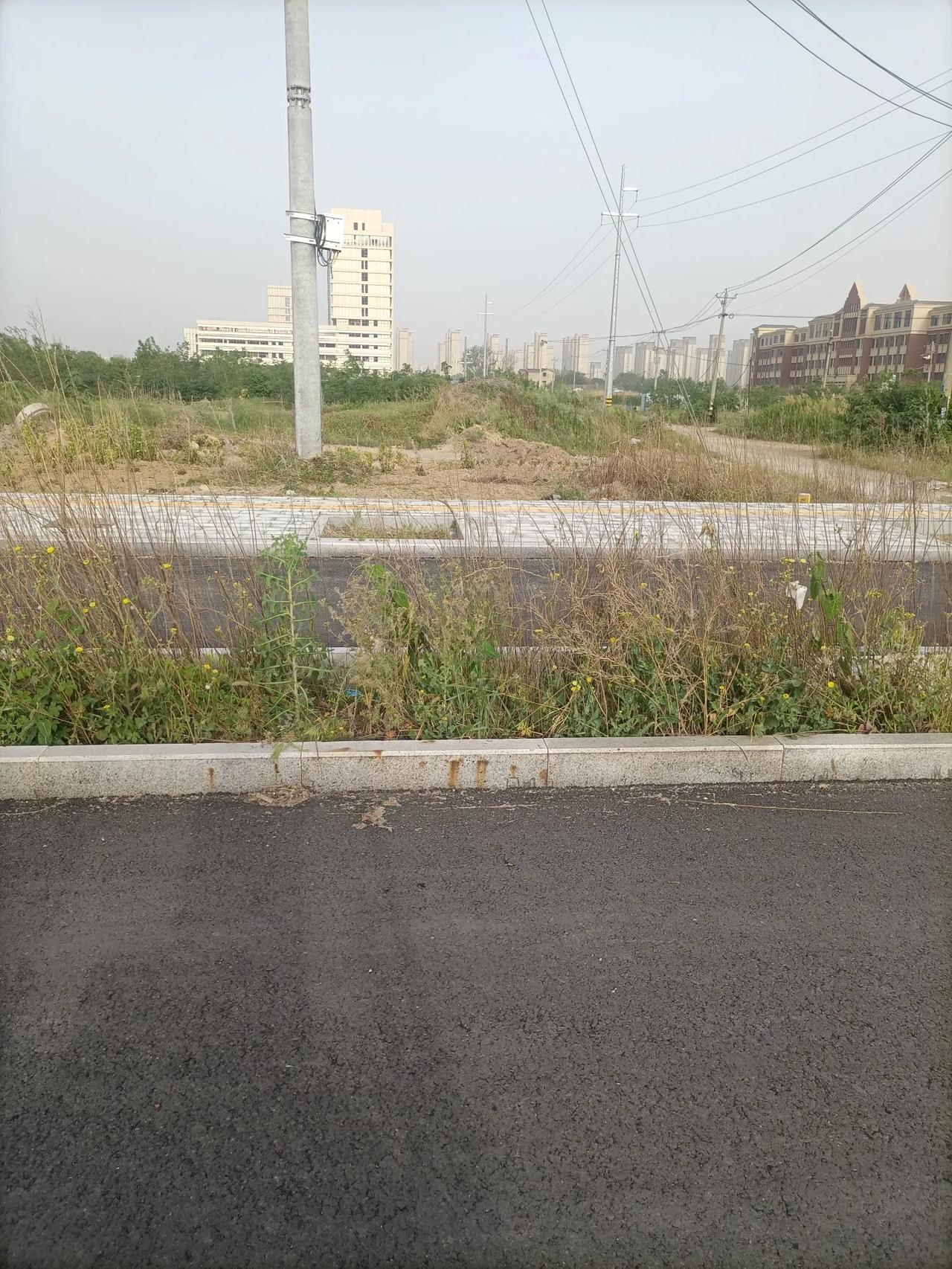 《键盘上的浪潮》
 见邻居阿凯靠网络赚得盆满钵满，我辞掉工作扎进短视频红海。做美