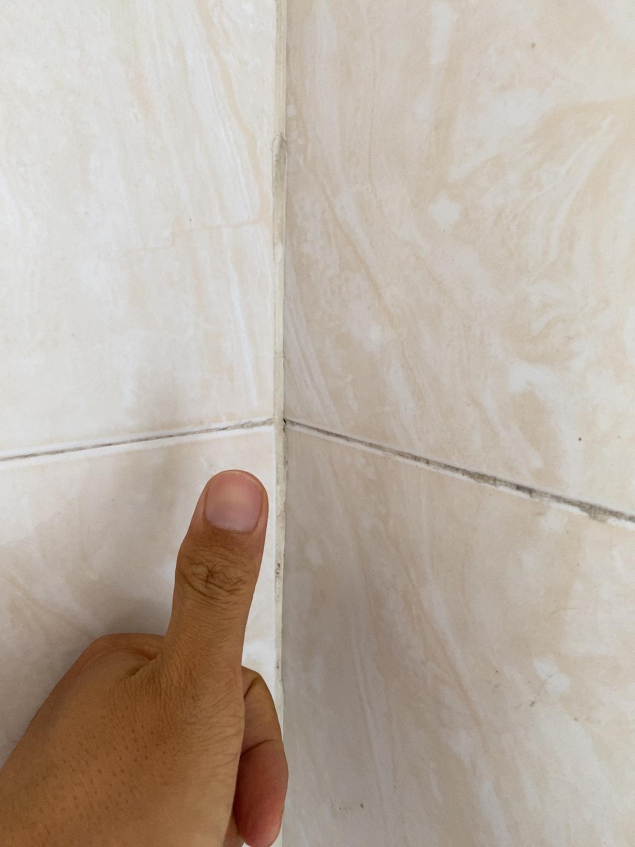 老伯解物｜大战法老蚁
一个多月前，还没开始注重健康饮食，习惯每天喝点咖啡。喝咖啡