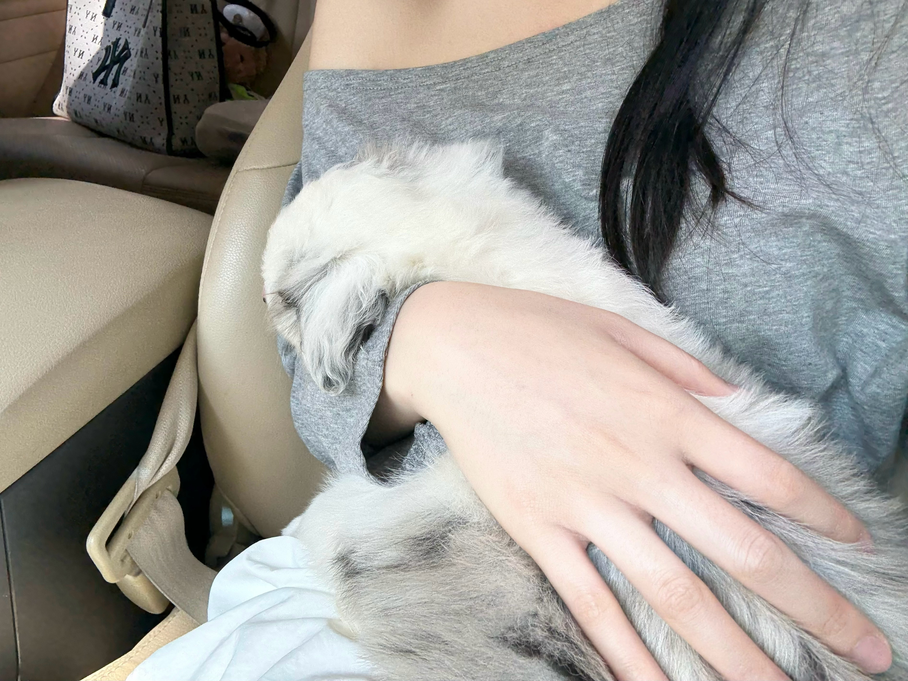 谢谢你光顾我的小怪物  ​​​