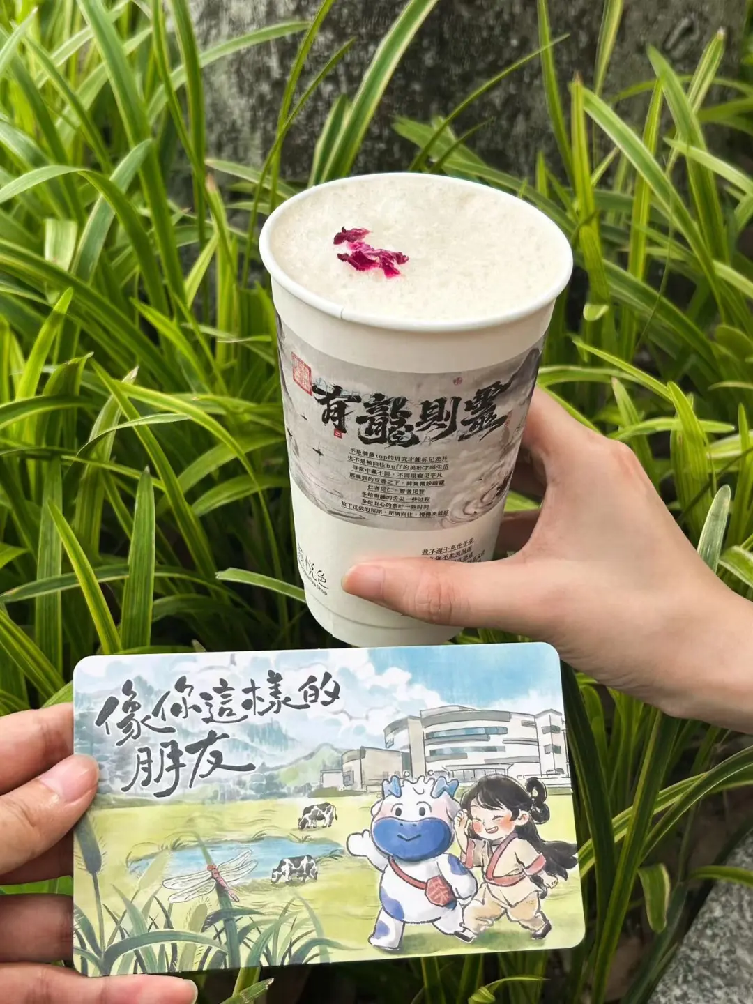 茶颜“藏不住的”！好清爽好夏天