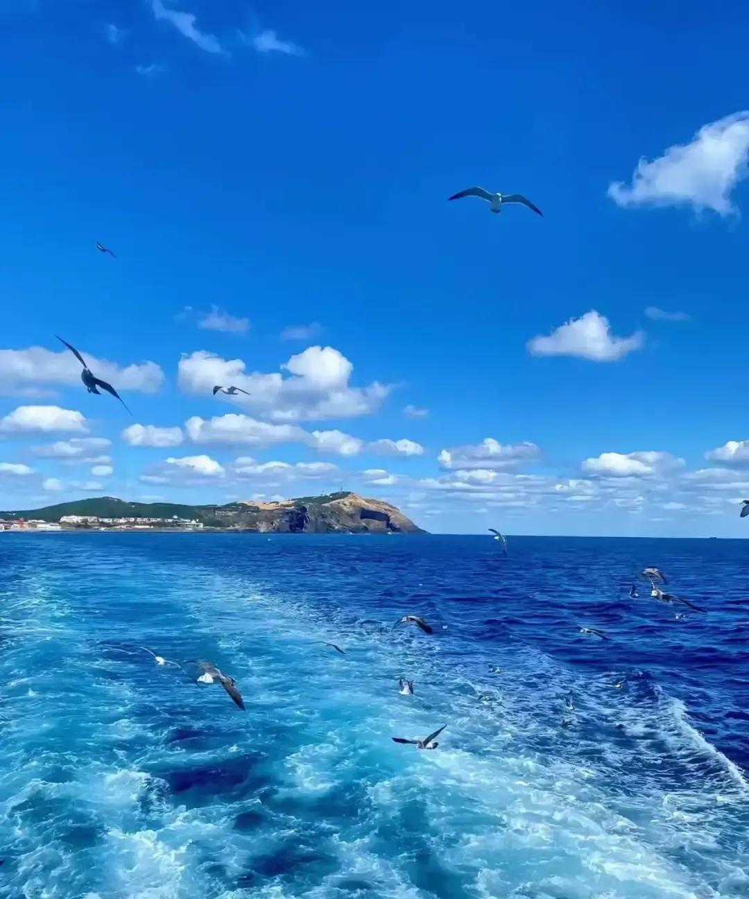 双鱼不联系不是高冷是电量见底。
刷到热搜那天我盯着手机屏保里两条鱼发呆，突然明白