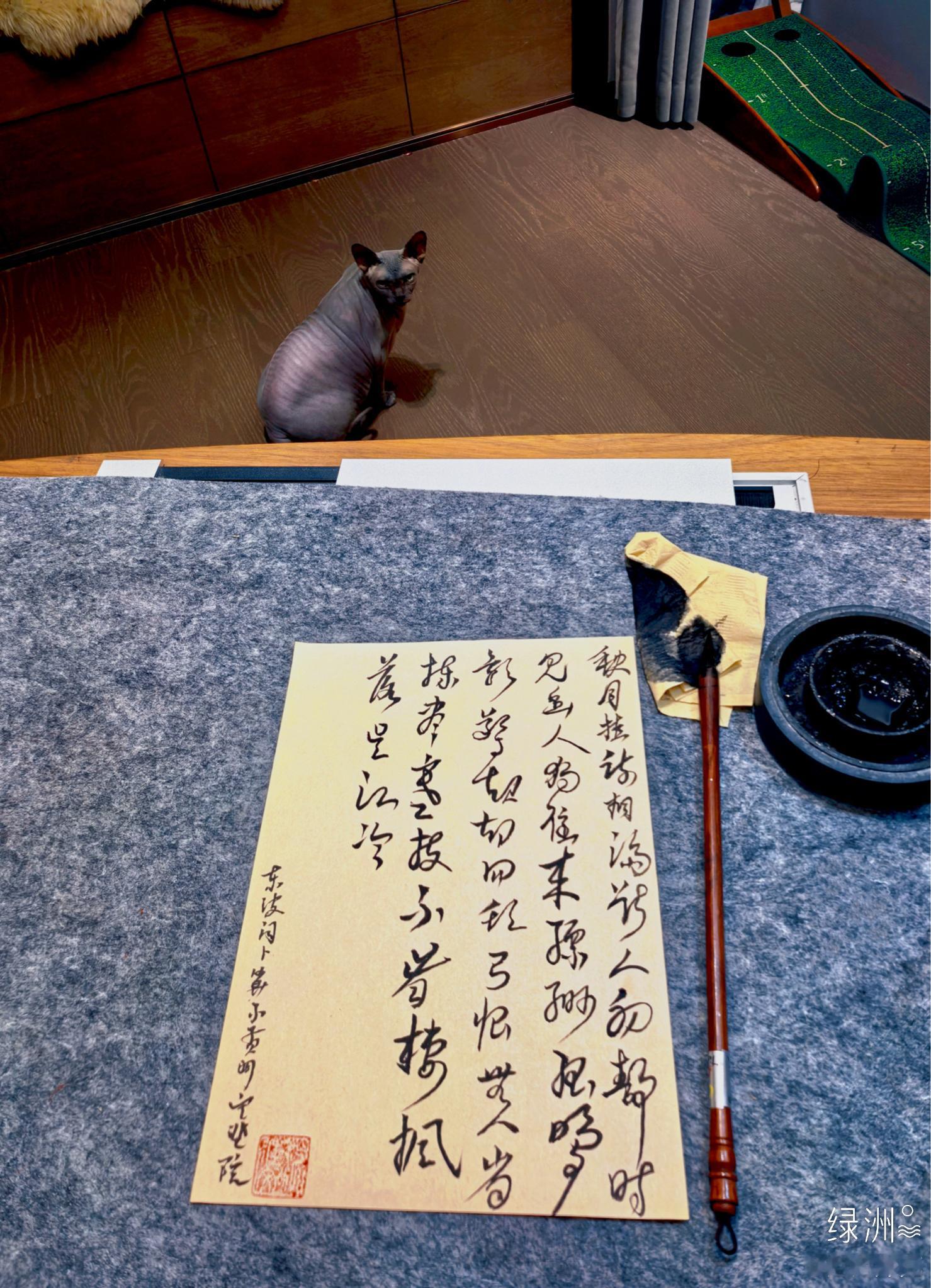 💤范范库克艺术展示  ​​​