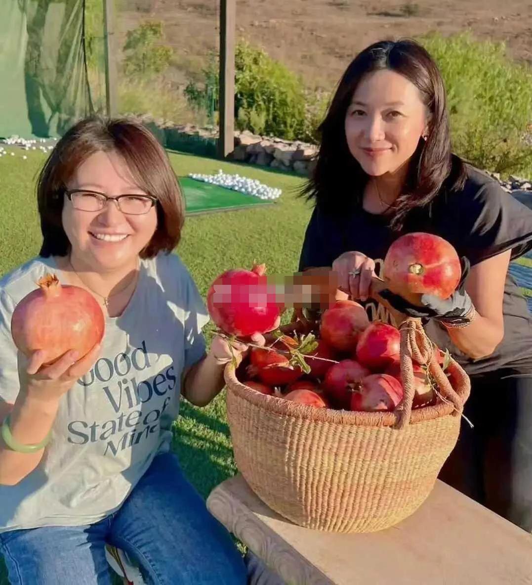 哇！许久不见的徐静蕾在国外生活的这么惬意，50岁她都不见老，脸上也丝毫没有岁月的