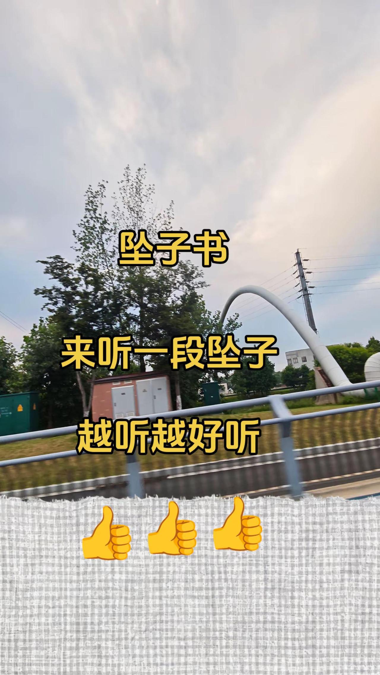 河南坠子 河南豫剧 传统曲艺 感谢支持