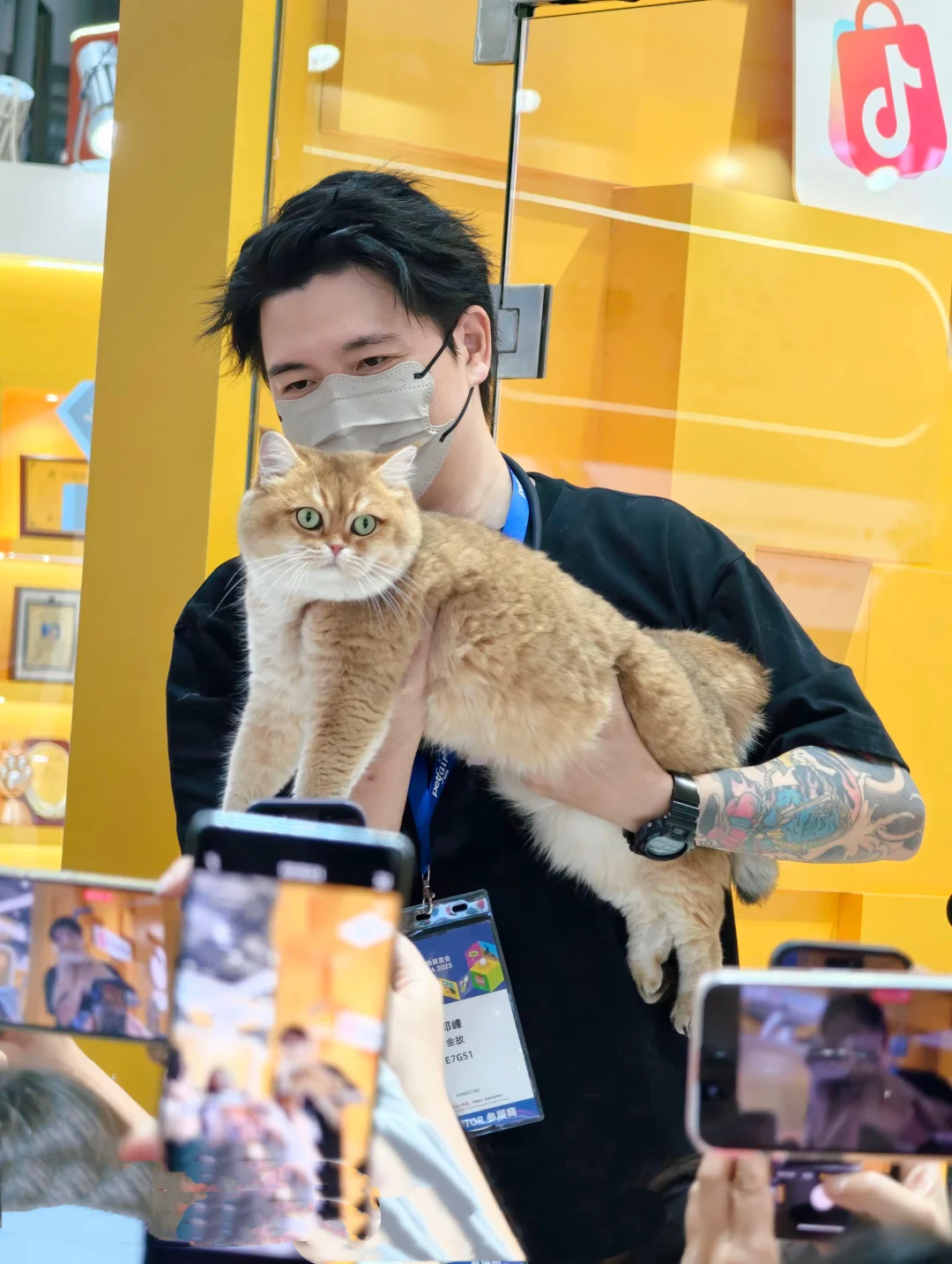 参见猪猪大王