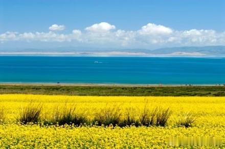 青海湖上，我的孤独如天堂的马匹——海子 ​​​