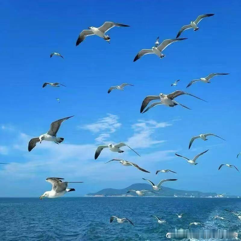 很多人没再见面，很多人不再联系；人生南北多歧路，君向潇湘我向秦，此后人间多宽敞，
