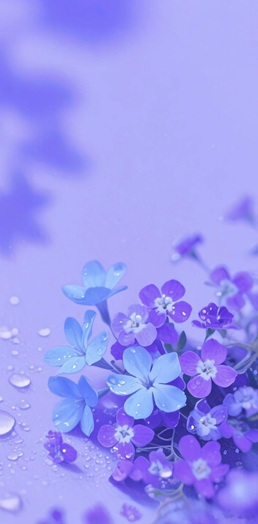 朦胧悦色梦幻紫色唯美意境壁纸..ུ.ོ💜 ​​​