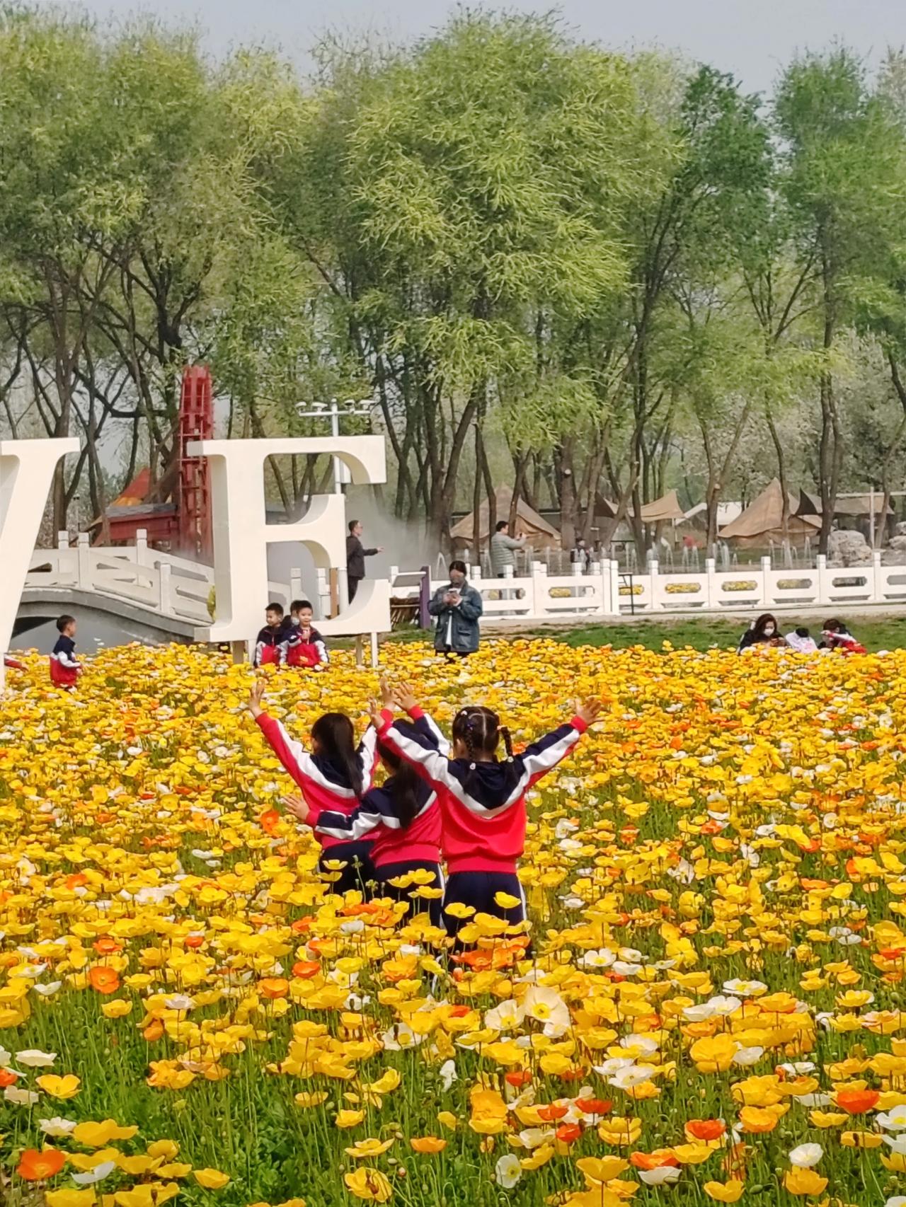 发一张你相册里春天的花四月天呀百花开，随手拍。