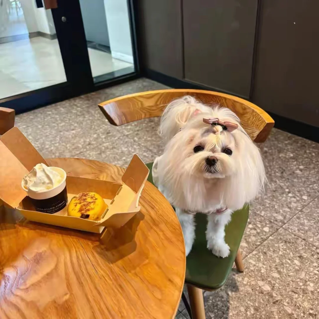 中产家庭妻子必看：利益都是要用东西换的，你要么换得起，要么认命 很多原...