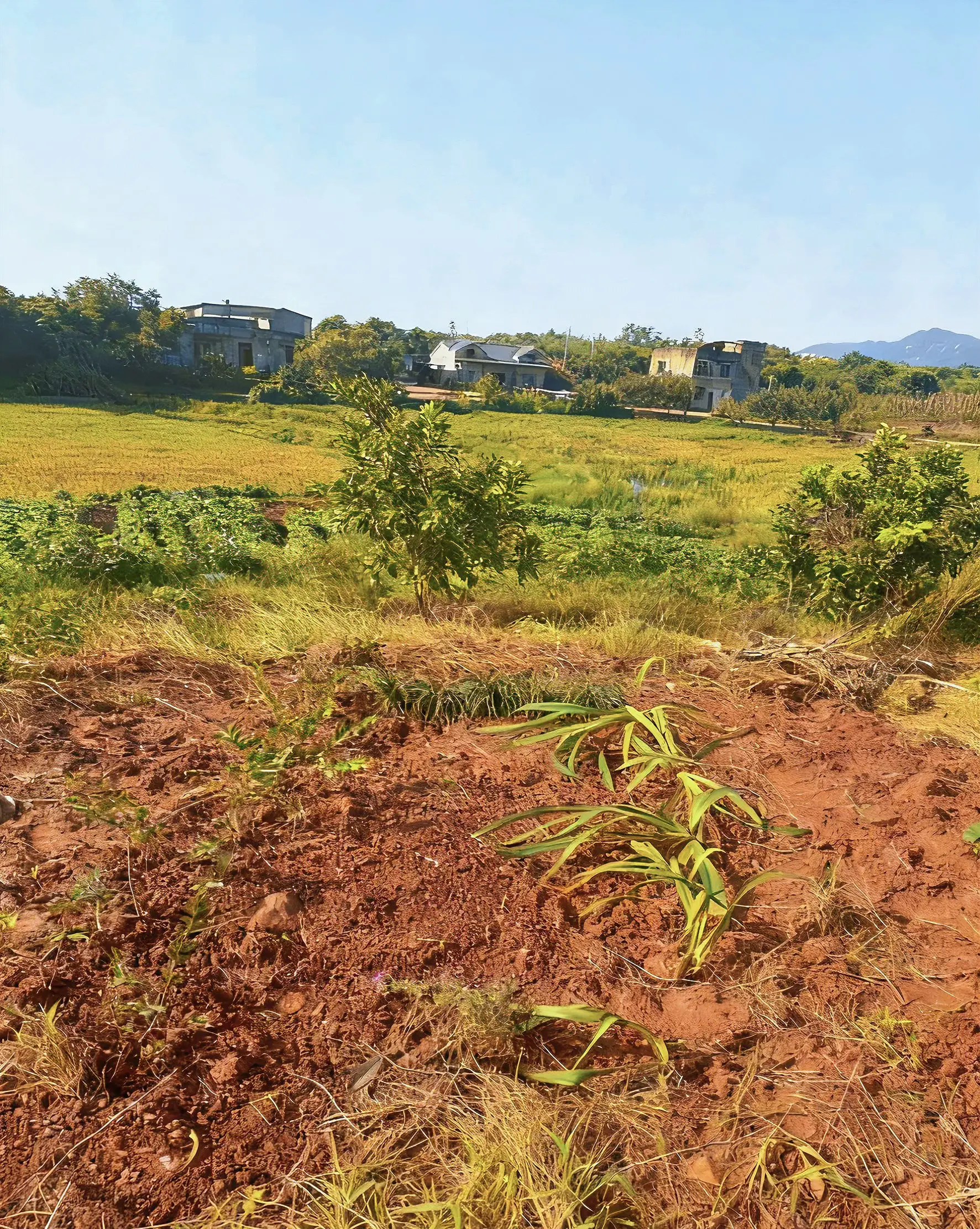 写给汪星的你：我的狗狗，我永远爱你！亲爱的狗狗，今天是你离开这个世界的...