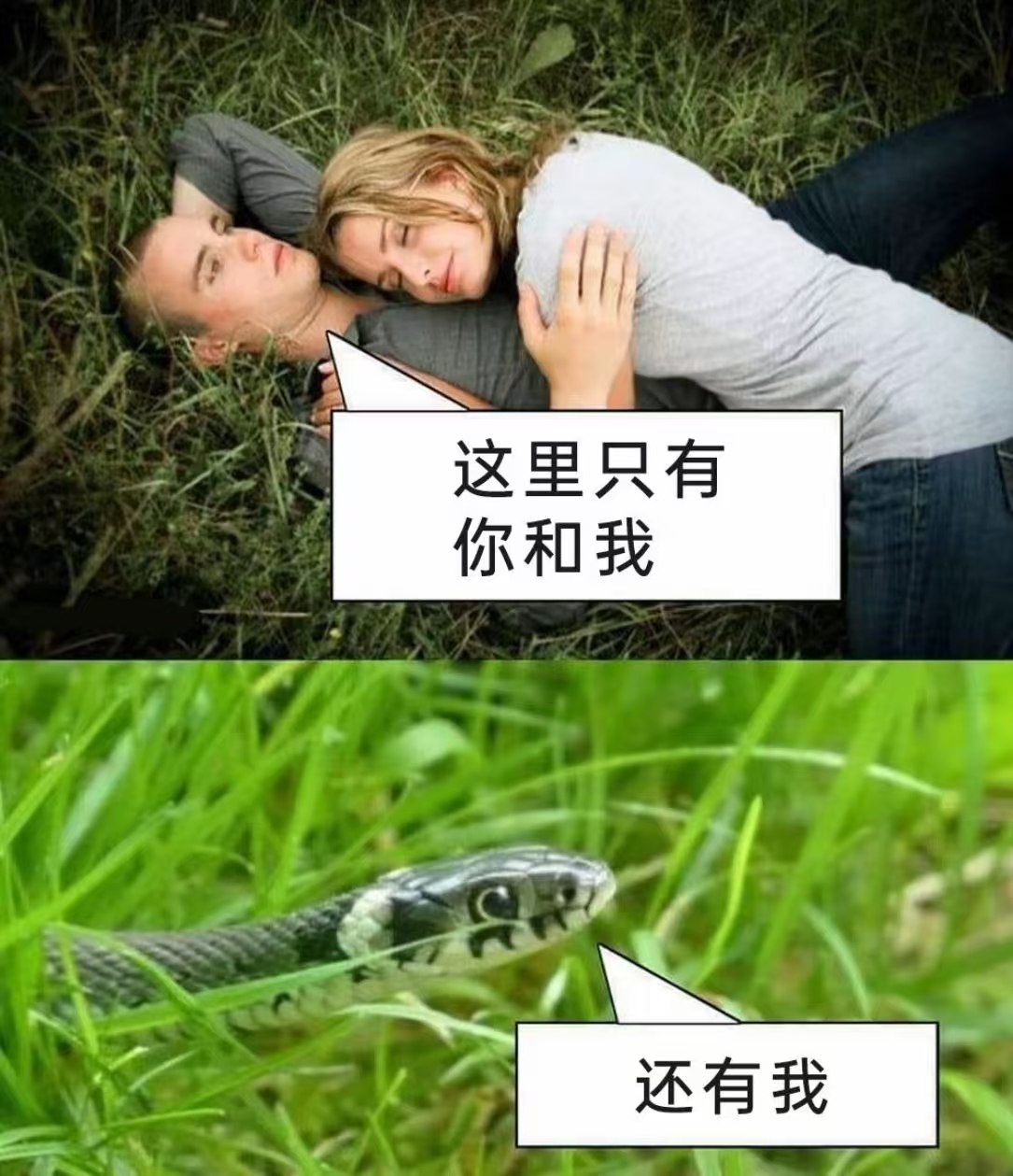 七，地水师地势临渊，安宁难得注意心脏，腹腔宜：祈福 搬家 祭祀 结婚 订婚忌：登