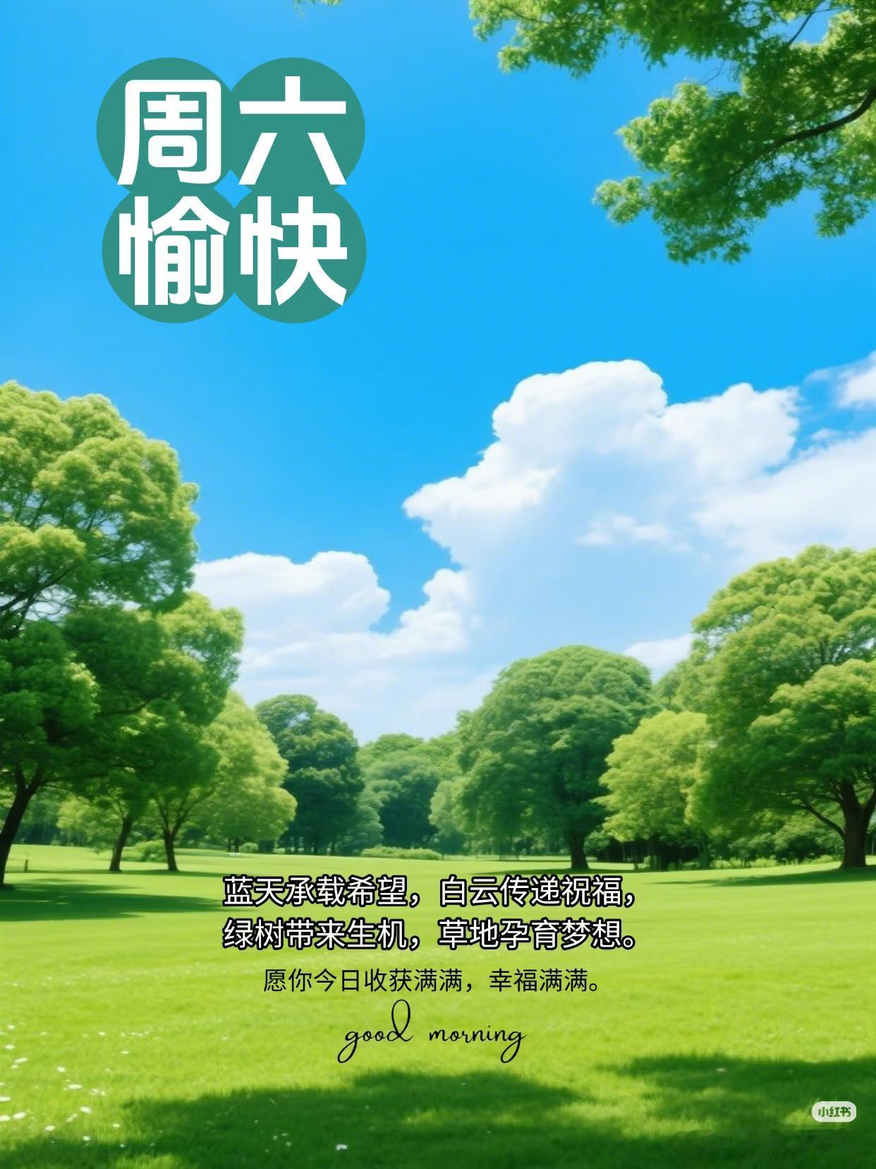 早上好，今天是8月29日星期六，女排亚锦赛第九天。
在昨天进行的1/4淘汰赛中，