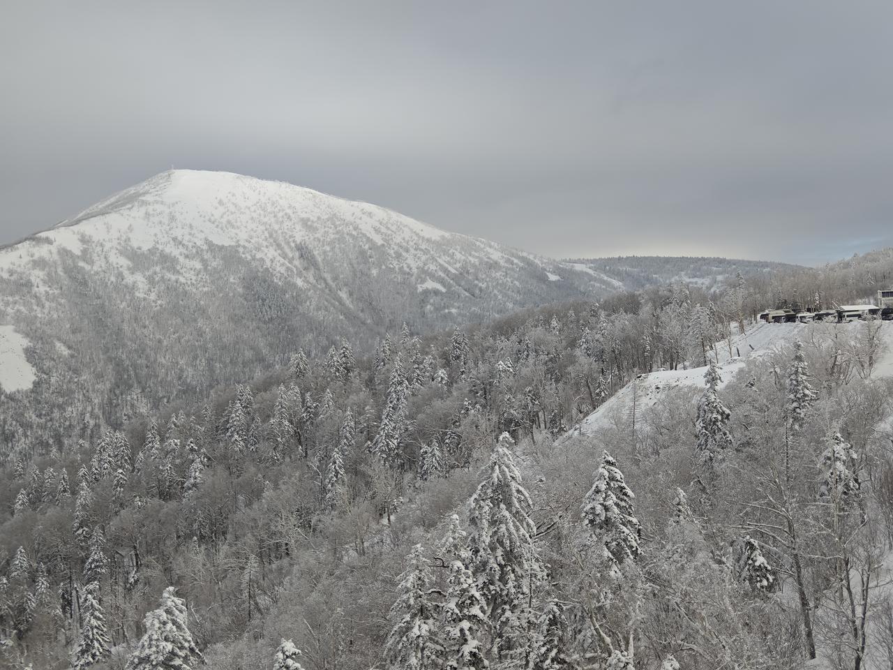 分享一下你随手拍下的照片整座山都裹在厚厚的雪绒里，连风都带着细碎的雪粒。远处的山