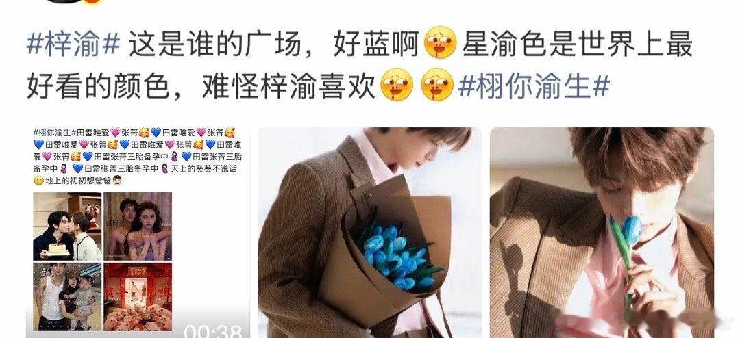 梓渝粉丝和栩你渝生粉丝怎么了