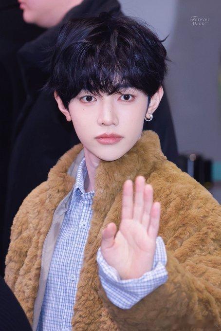 今天的章昊是一只毛茸茸小熊  卷毛小可爱