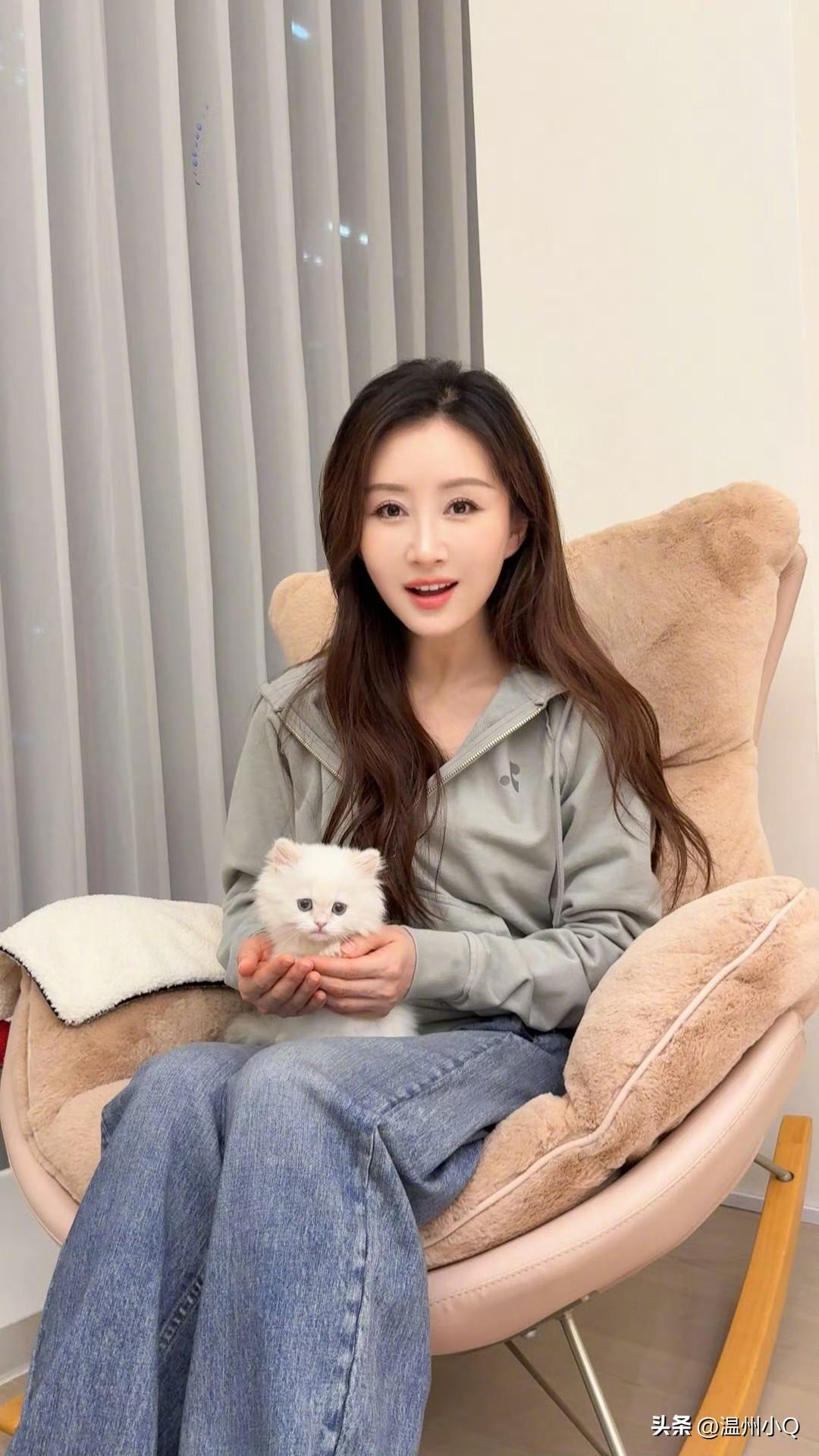 搞得我都想组团去舒畅家偷猫了，这只矮脚长毛拿破仑也太可爱了，琉璃石般的眼珠子有种