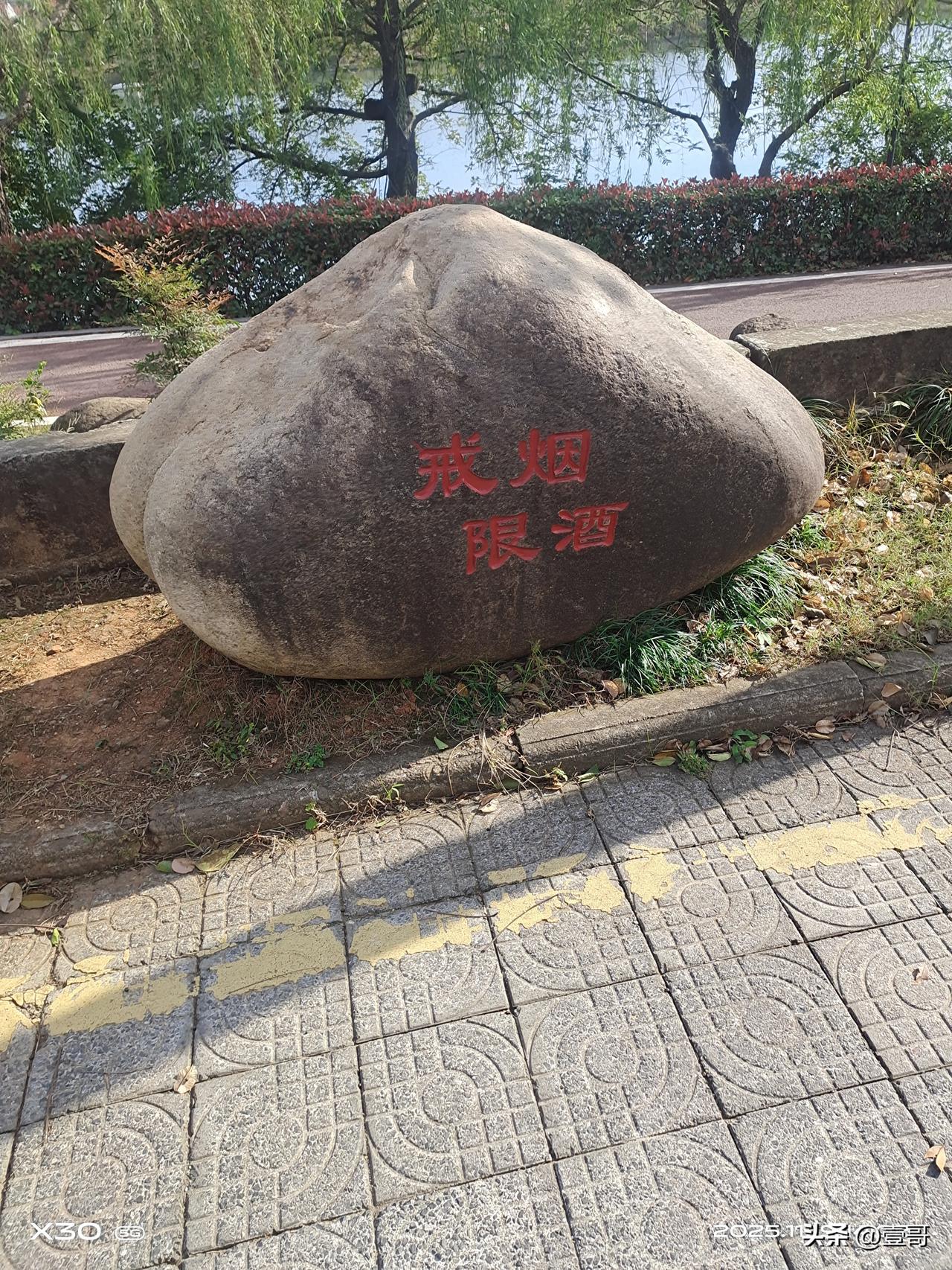 晒图笔记大赛贺村镇临江健康步道