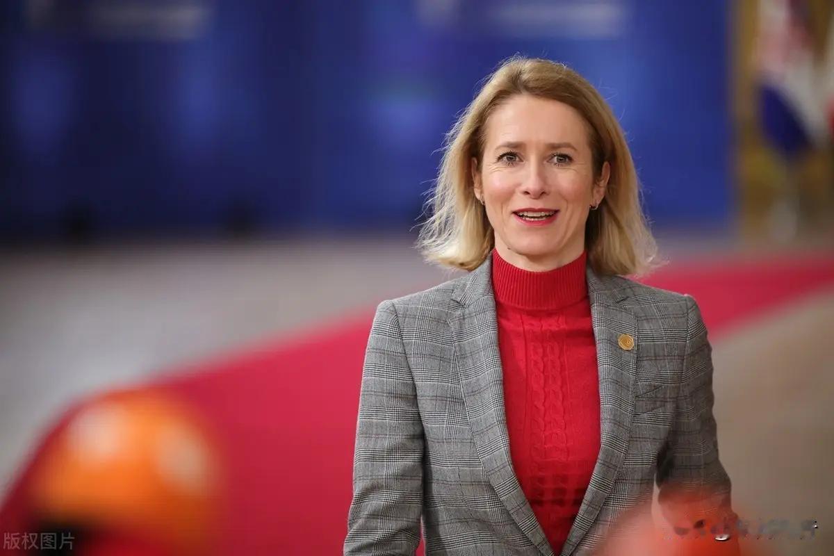 我认为欧盟外交与安全政策高级代表卡拉斯的表现非常抢眼，她在12月16日去欧洲荷兰