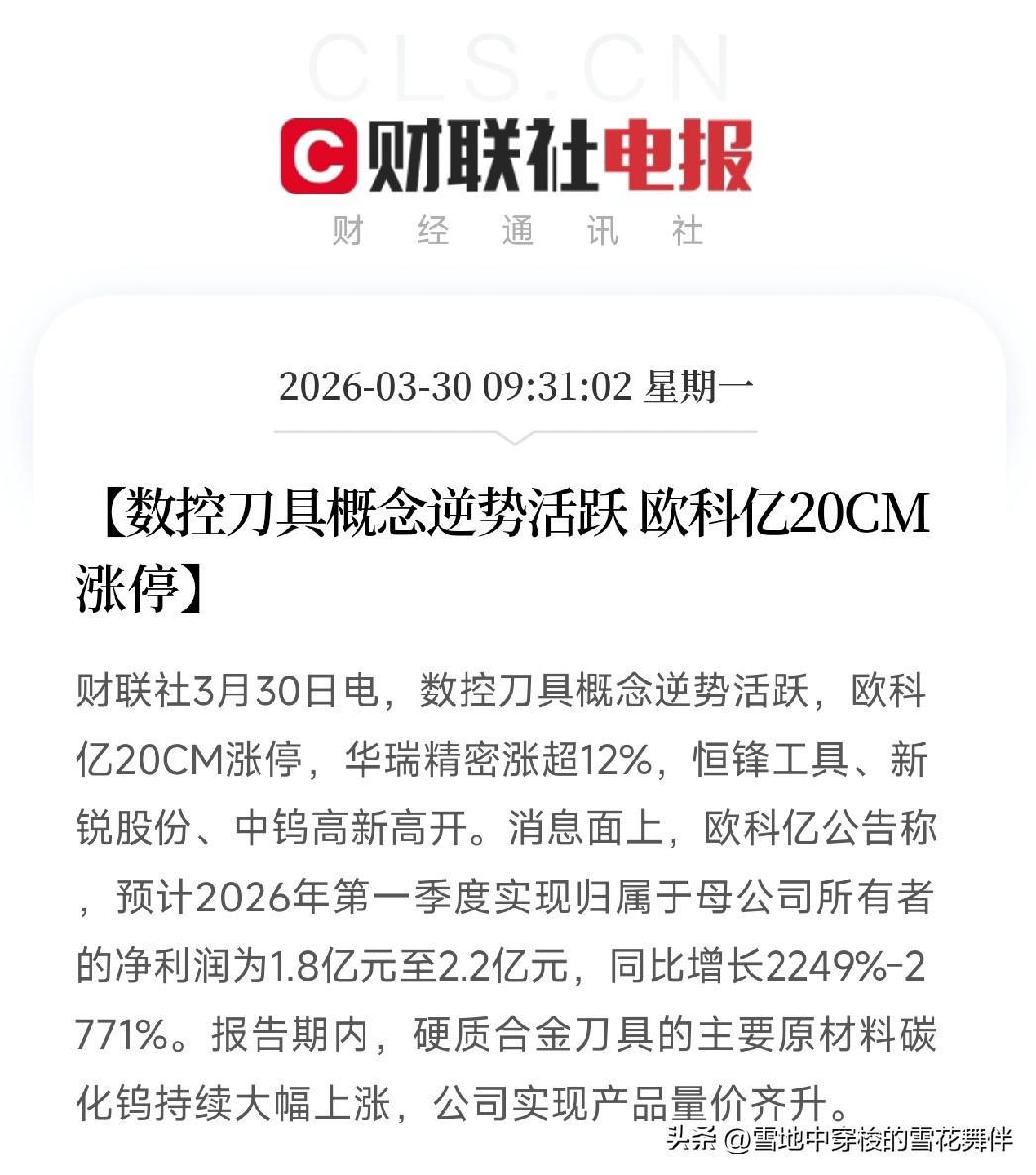 今天这行情也是没谁了，大盘绿油油一片，好在数控刀具这块还算给面子，硬是逆势支棱起