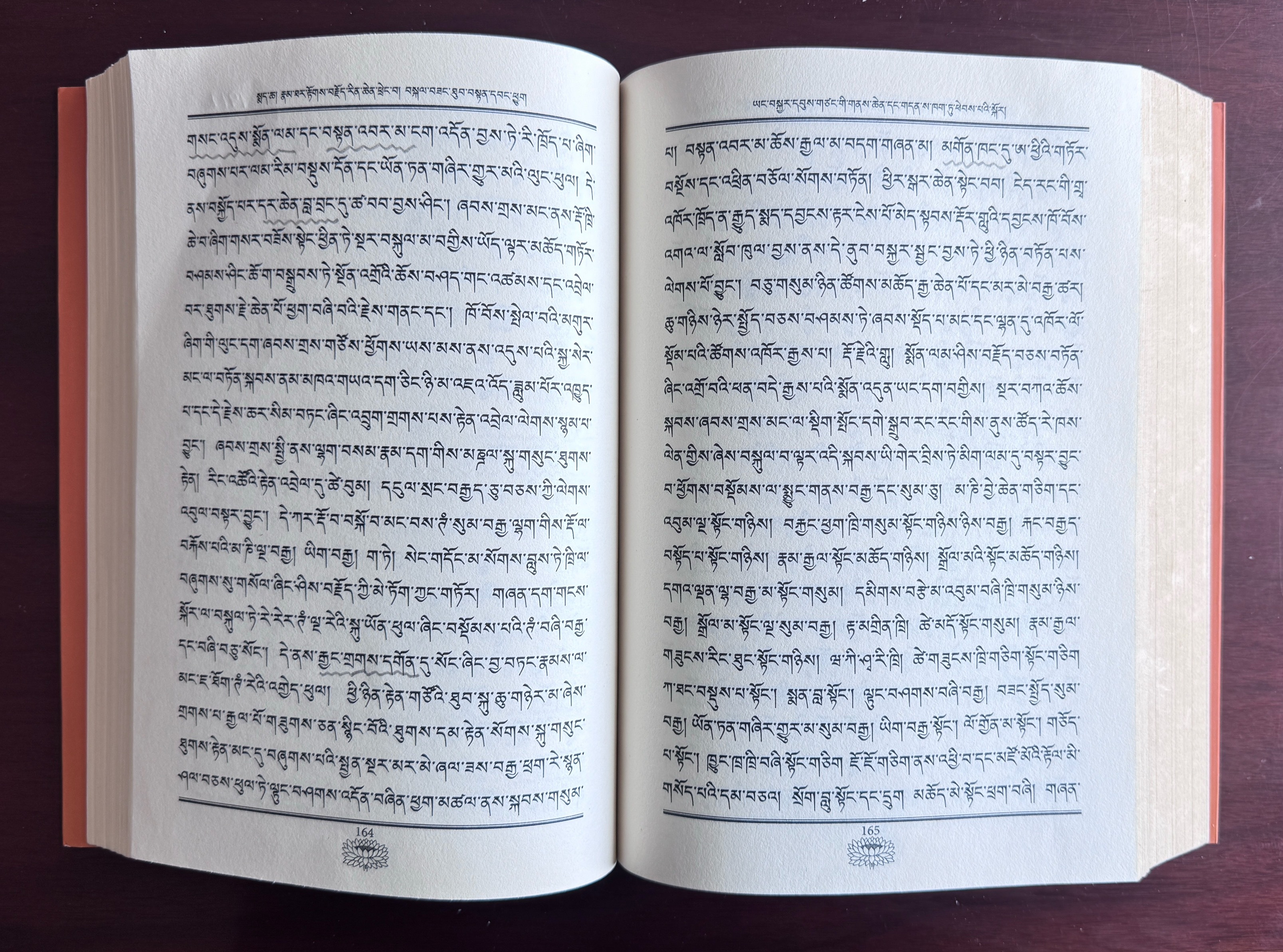 图文所载，是第四世嘉木样1911年6月朝拜冈仁波齐的朝圣游记。文字出自尊者自传，