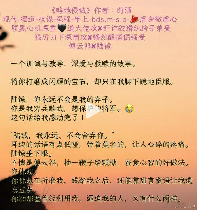 略地侵城 