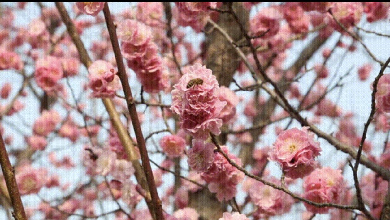 你能用一句简单话概括什么是幸福吗