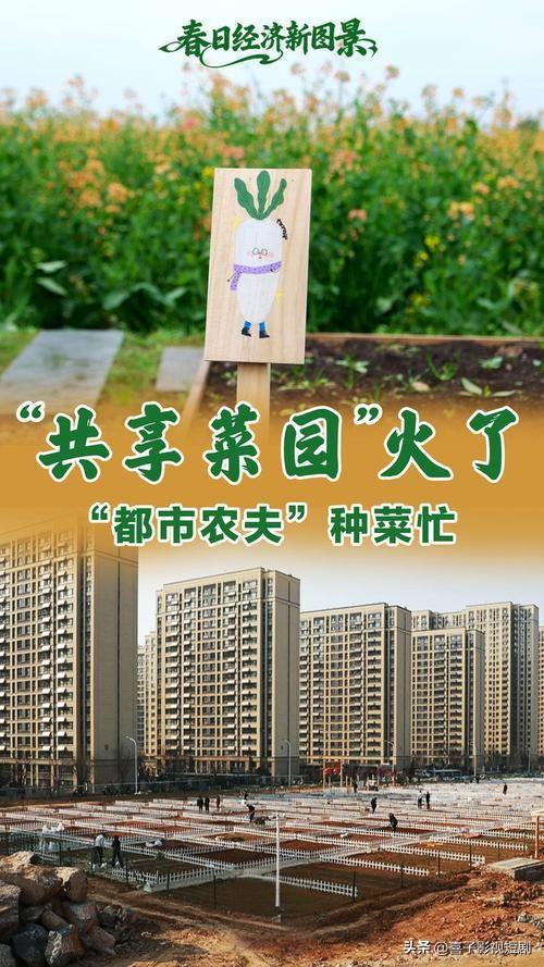 共享菜园火了，都市农夫种菜忙

春日里，共享菜园在全国多地火爆“出圈”。济南“章