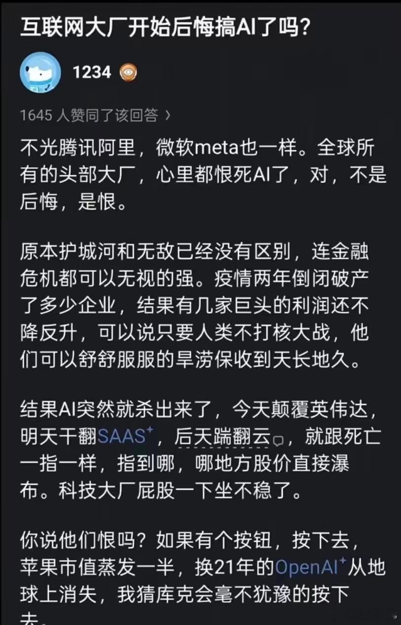 可实际上，这些企业的利润下滑并不是因为Ai，即便没有Ai，同样也是下滑。比如sa