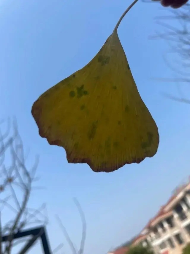 美国战略研究机构史汀生中心的高级研究员凯利·格里科直言：“东方大国在大白天于城市