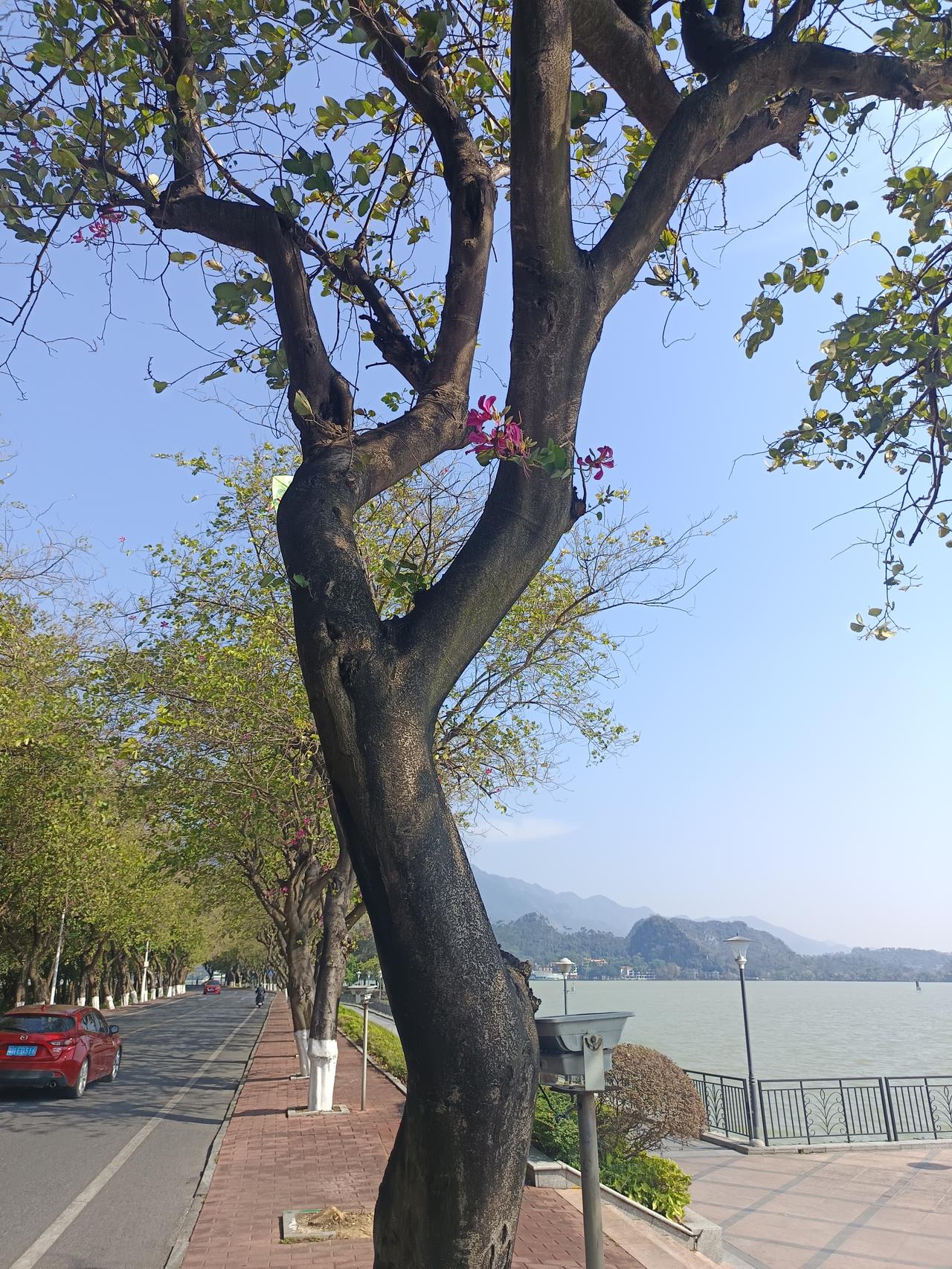 你敢相信吗？
世界上竟然有这么美的地方，这里就是七星岩风景区