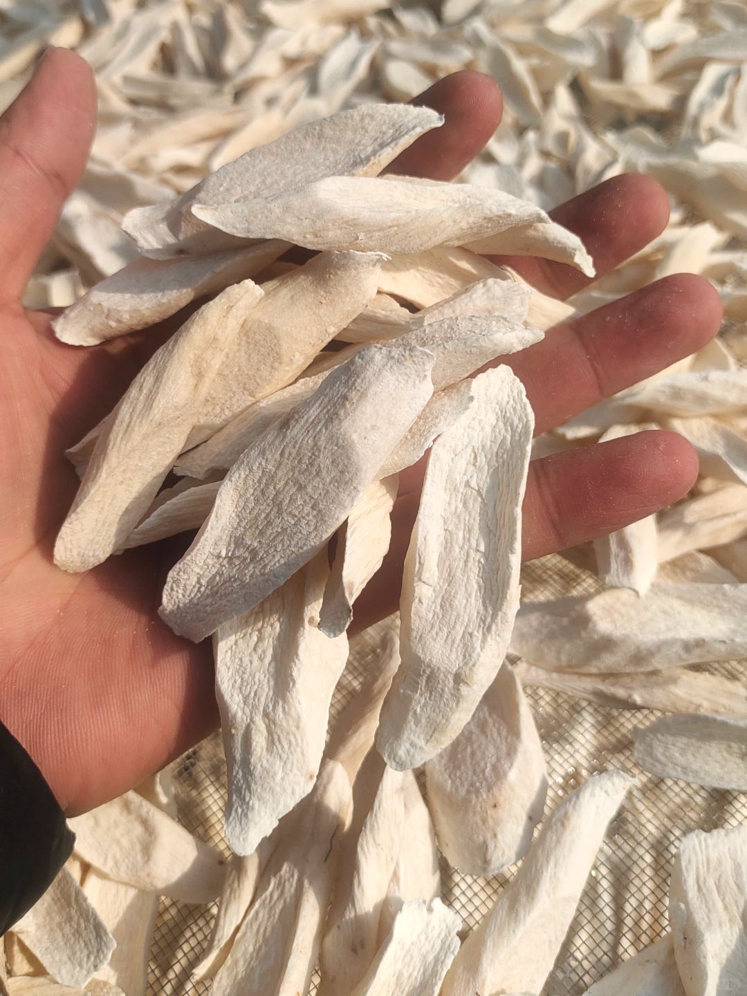 怀山药片煮水的正确✅方法？保姆级教程！！